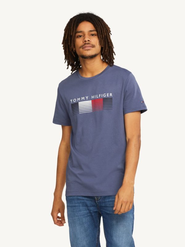 TOMMY HILFIGER T-Shirt en coton bio à logo dégradé Bleu Indigo