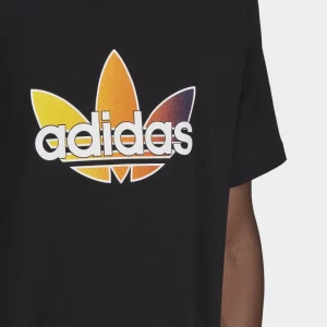 ADIDAS T-Shirt graphique SPRT Noir